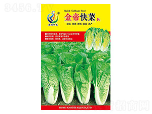 ��ۿ��-��˷N��-���ؿƼ�