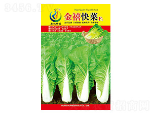 �������-��˷N��-���ؿƼ�