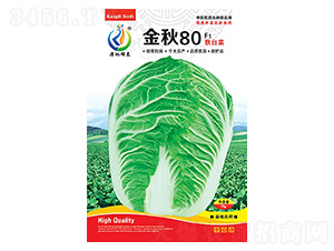 ����80-�ײ˷N��-���ؿƼ�