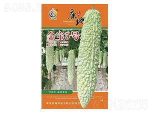 ����5̖-��ϷN��-���ؿƼ�