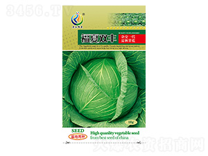 �����p�S-���{�N��-���ؿƼ�