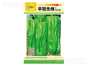 ������h-�����N��-���ؿƼ�