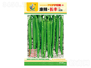 �������L�S-�����N��-���ؿƼ�