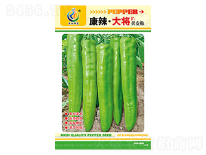 ��������-�����N��-���ؿƼ�