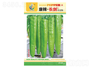 �������L��-�����N��-���ؿƼ�