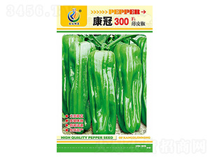 ����300-�����N��-���ؿƼ�