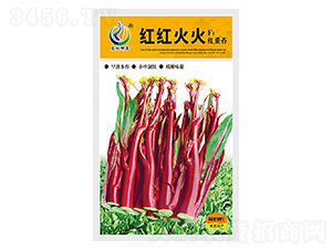 �t�t���-��޷�N��-���ؿƼ�