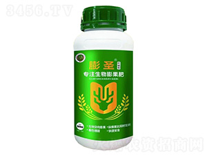 ��ʥ�~����-��ɽ����