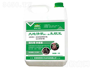 生根王-糧蔬果樂