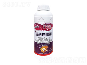 球孢白僵菌-金大地肥業(yè)