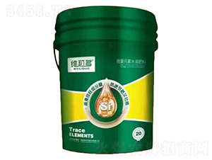 �w�����-�S����-�����ʘI(y��) 