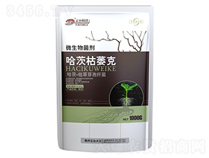 ���Ŀ�ή��-΢�������-���_(t��i)��