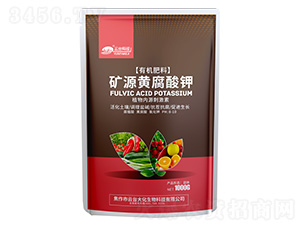 1000g�VԴ�S�����-���_(t��i)�� 