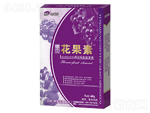 ������̥�����-������-���_(t��i)��