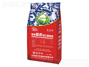 ̼ø����΢�������-����S-�������