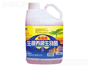 海藻酸生根養(yǎng)根生物菌-美巴夫