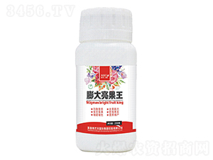 ���������-���ͷ�