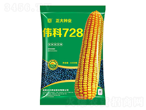 ����728-���׷N��-����N�I(y��)