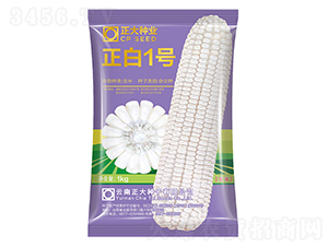 ����1̖(h��o)-���׷N��-����N�I(y��)