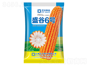 ʢ��6̖(h��o)-���׷N��-����N�I(y��)