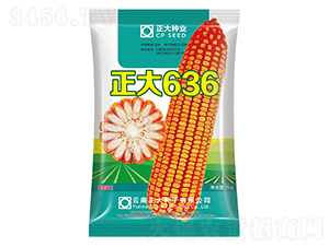 ����636-���׷N��-����N�I(y��)