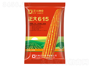 ����615-���׷N��-����N�I(y��)