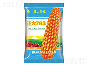 正大783-玉米種子-正大種業(yè)