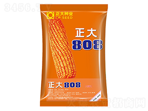 ����808-���׷N��-����N�I(y��)