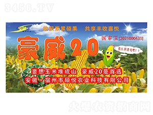 ����20���׷N��-�T���r(n��ng)�I(y��)