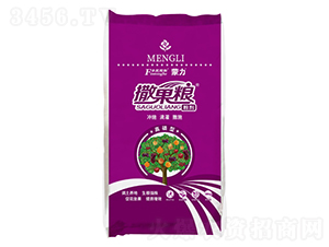 ���������Z�����ͣ��ۄ���-�͝��r�I(y��)