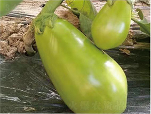 �͝��G��1̖-���ӷN��-�͝��r(n��ng)�I(y��)