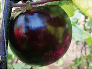 �A��480-���ӷN��-�͝��r(n��ng)�I(y��)