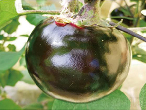 �A��460-���ӷN��-�͝��r(n��ng)�I(y��)