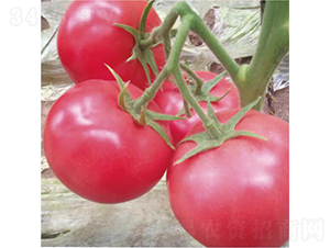 �hķ1350-���ѷN��-�͝��r(n��ng)�I(y��)