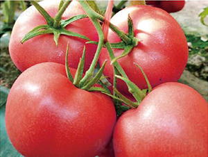 �hķ1319-���ѷN��-�͝��r(n��ng)�I(y��)