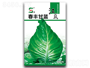 ���S���{(l��n)-���{(l��n)�N��-���A�N�I(y��)