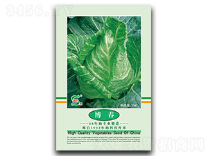 �������{-���{�N��-���A�N�I(y��)