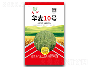 �A��10̖(h��o)-С���N��-���A�N�I(y��)