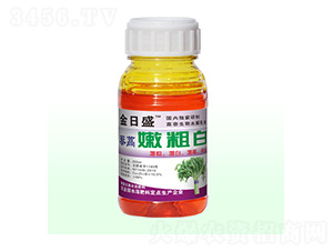 ޼���۴ְ�-����ʢ-��Դ��ʘI(y��)