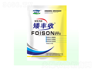 �����󶹰��S��-����ʢ-��Դ��ʘI(y��)