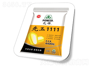 ����1111-���׷N��-�߿��r(n��ng)�N�I(y��)