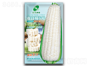 ����Ŵ6̖(h��o)-���׷N��-���S�N�I(y��)