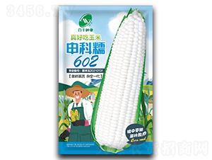 申科糯602-玉米種子-合豐種業(yè)