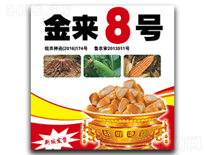金來(lái)8號(hào)-玉米種子-合豐種業(yè)