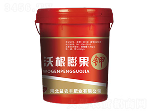 �ָ�����-���r�S�ʘI(y��)