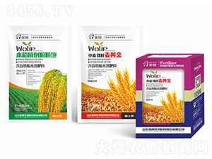 ˮ�����������-嫰�����