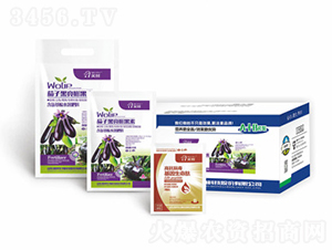 ���Ӻ��������-嫰�����