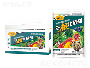 �������焩-嫰�����