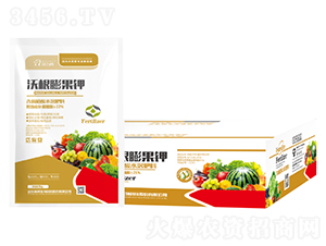 �ָ�����-嫰�����