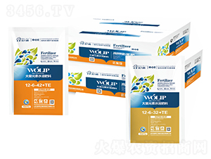 ��������12-6-42+TE-嫰�����